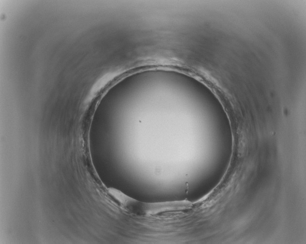 X0000066511215200603241258