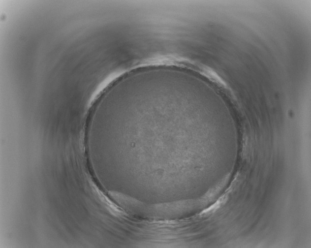 X0000066511216200603241258