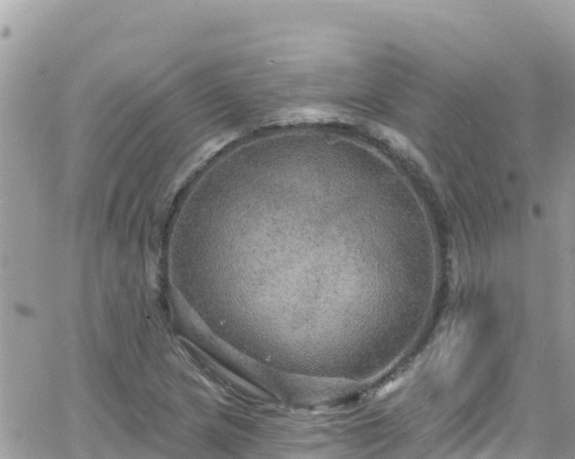 X0000066511217200603241258