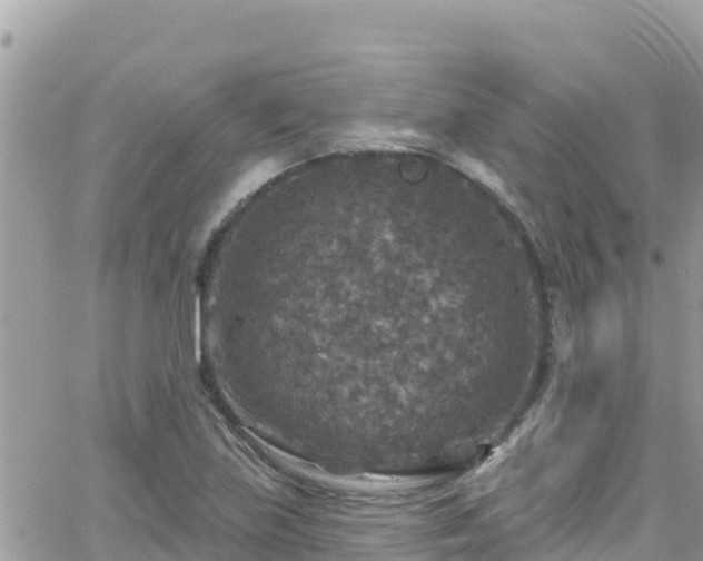 X0000066511219200603241258