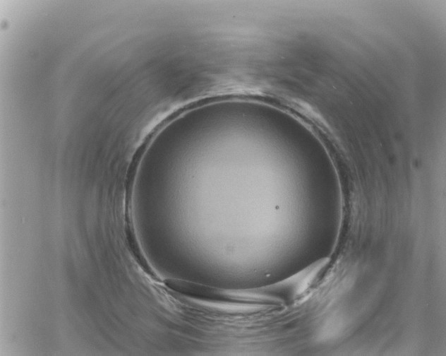 X0000066511220200603241258