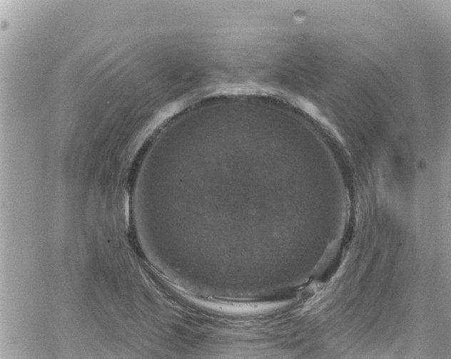 X0000066511221200603241258