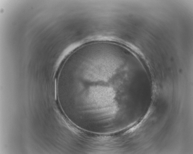 X0000066511223200603241258