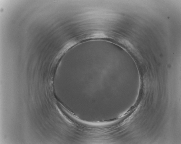 X0000066511225200603241258