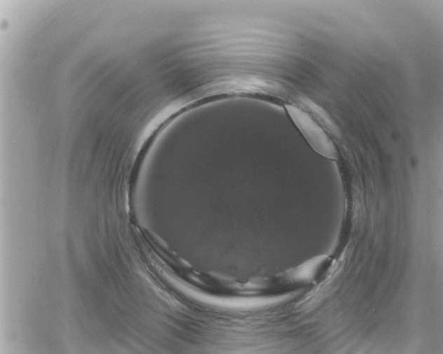 X0000066511226200603241258