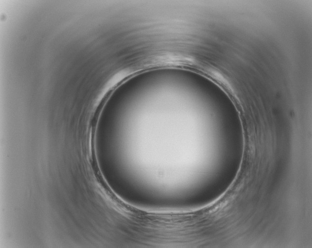 X0000066511227200603241258