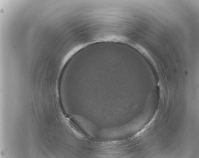 X0000066511230200603241258