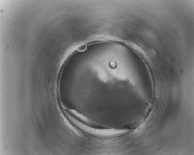 X0000066511231200603241258