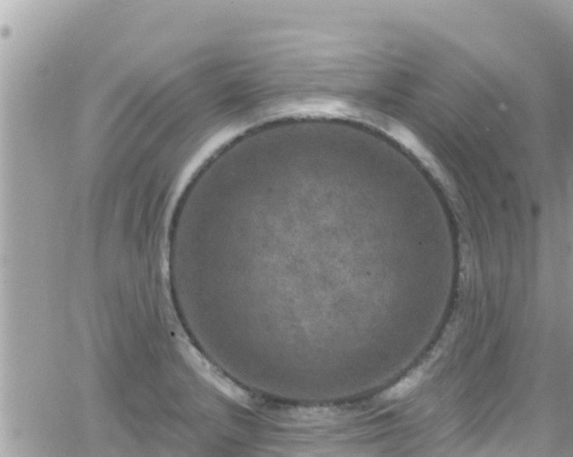 X0000066511232200603241258