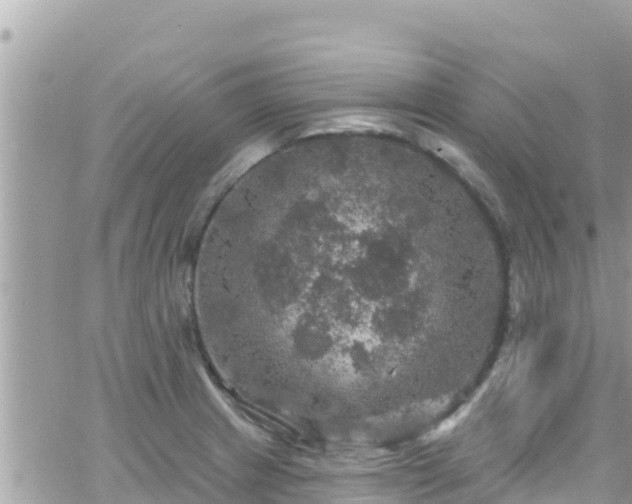 X0000066511233200603241258