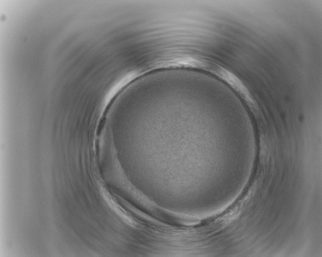 X0000066511234200603241258