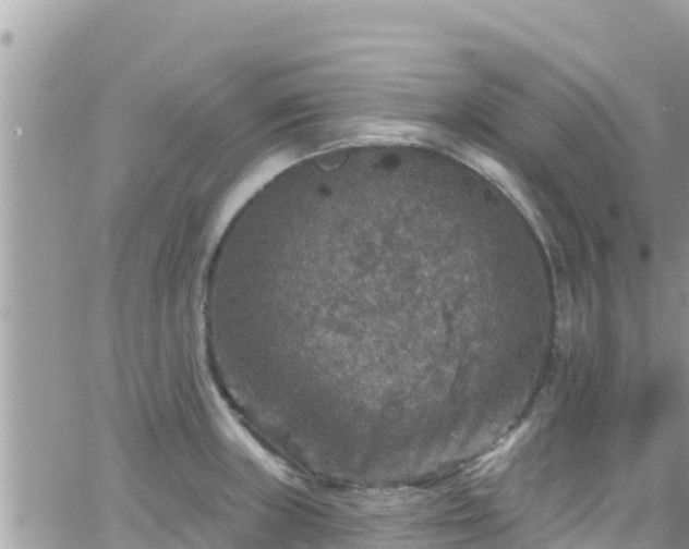 X0000066511235200603241258