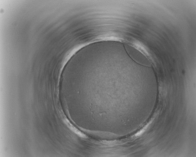 X0000066511236200603241258