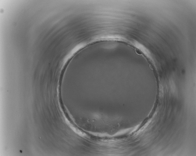 X0000066511237200603241258