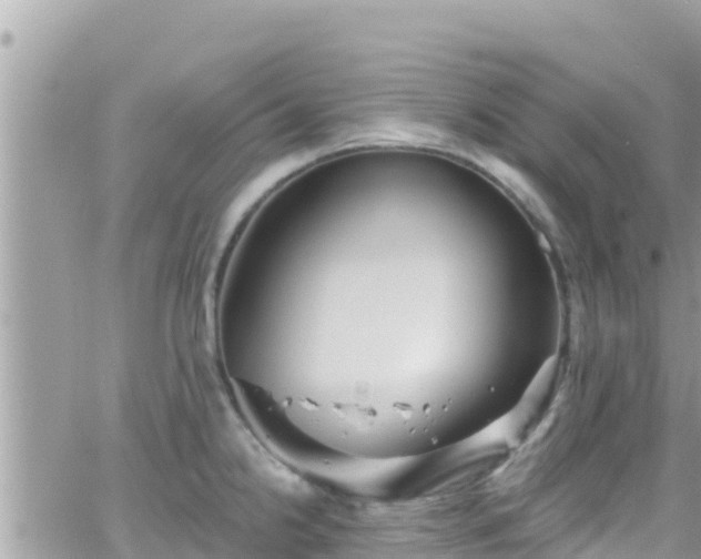 X0000066511238200603241258