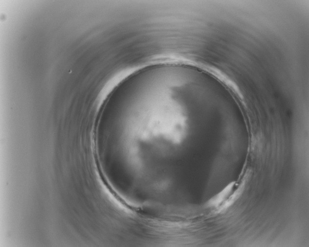 X0000066511239200603241258