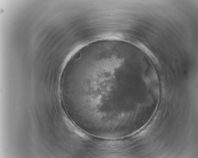 X0000066511240200603241258