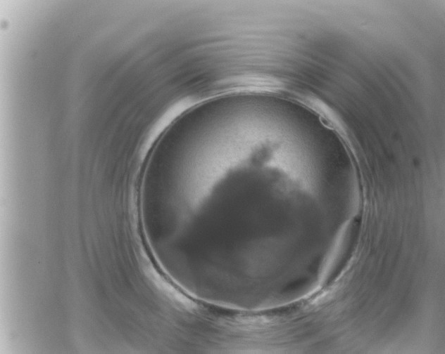 X0000066511243200603241258