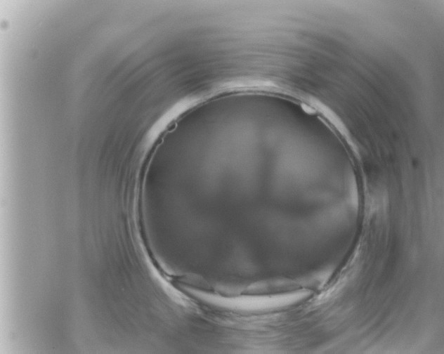 X0000066511245200603241258