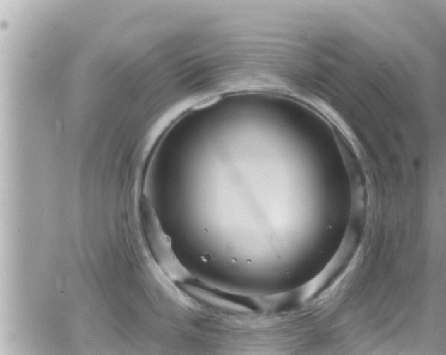 X0000066511246200603241258