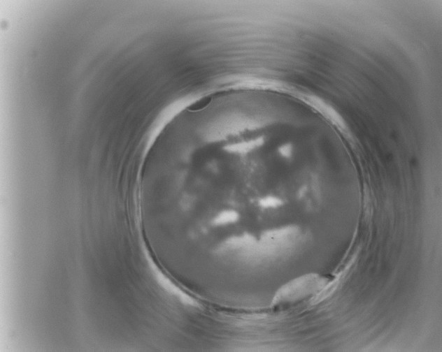 X0000066511247200603241259