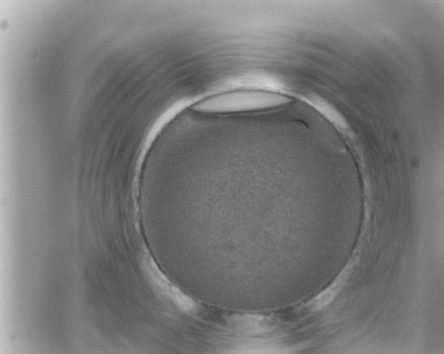 X0000066511248200603241259