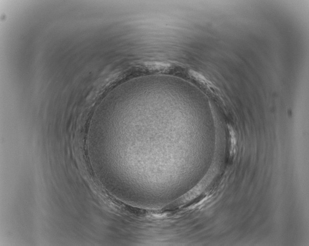 X0000066511249200603241258