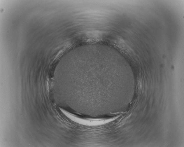 X0000066511250200603241258