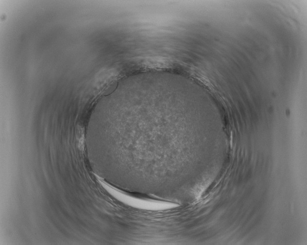 X0000066511251200603241258