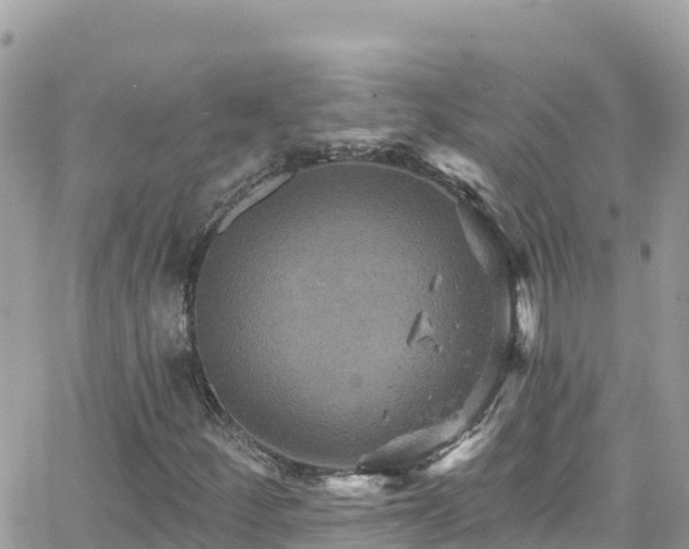 X0000066511252200603241258