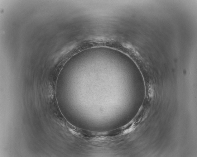 X0000066511253200603241258