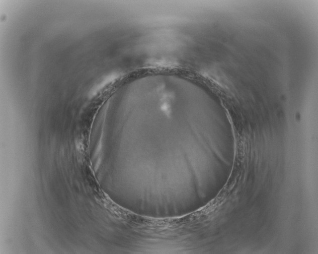 X0000066511254200603241258