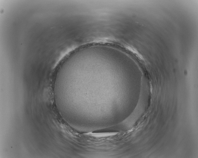 X0000066511256200603241258