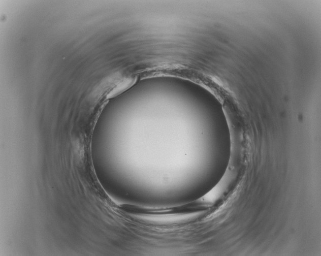 X0000066511257200603241258