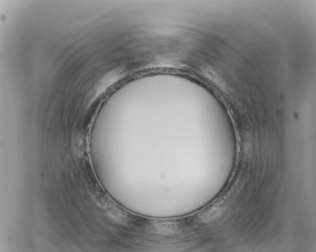 X0000066511258200603241258