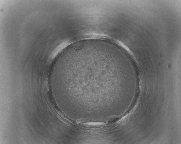 X0000066511259200603241258