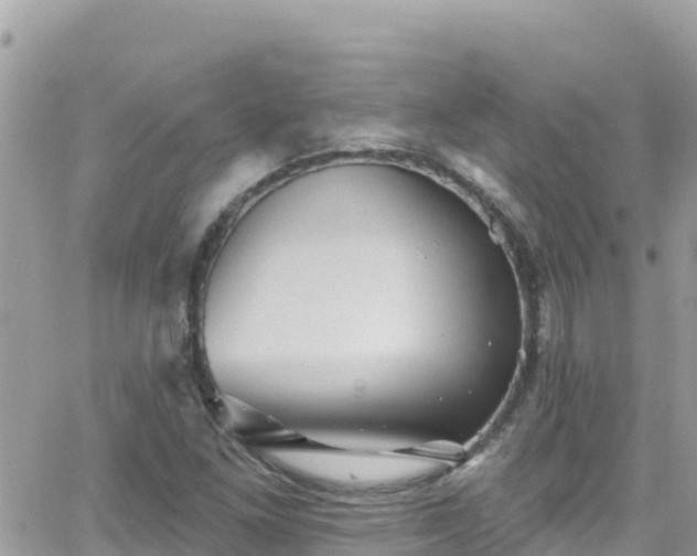 X0000066511261200603241258