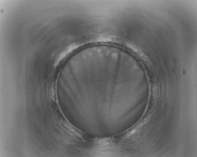 X0000066511262200603241258