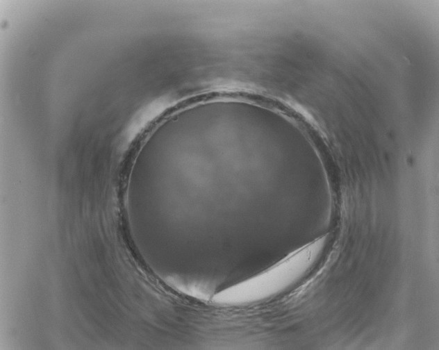 X0000066511263200603241258