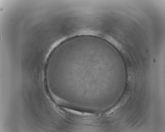 X0000066511264200603241258