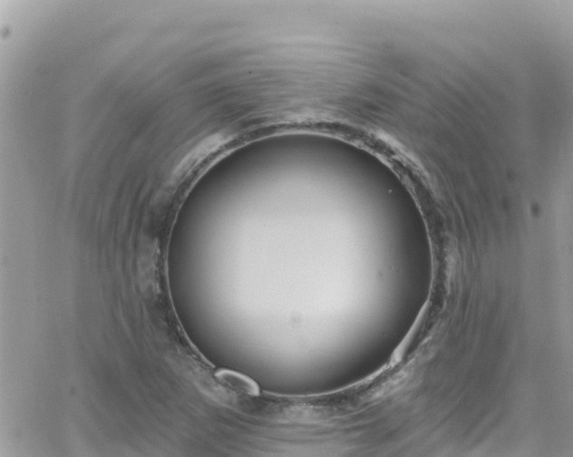 X0000066511265200603241257