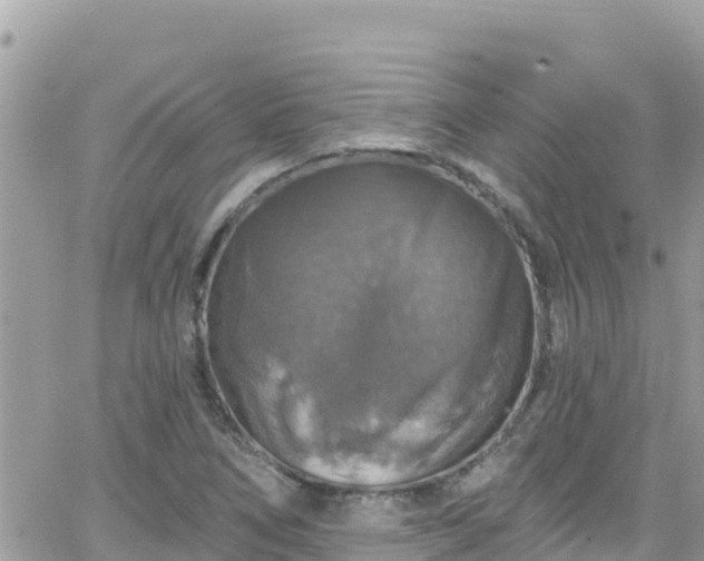 X0000066511266200603241257