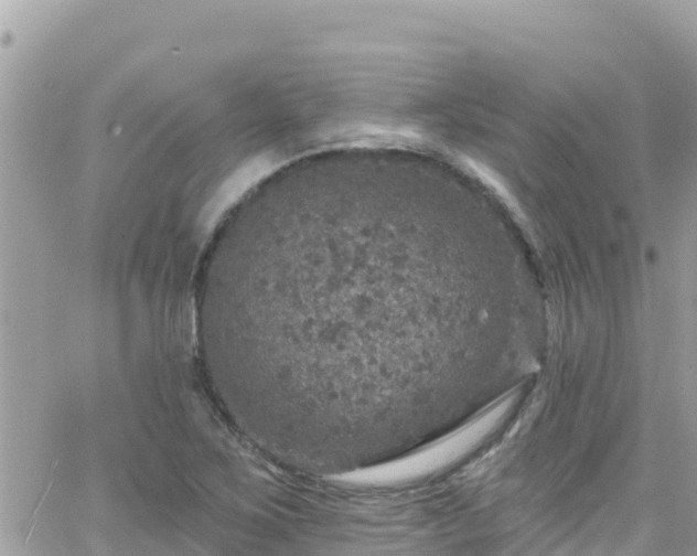 X0000066511267200603241257