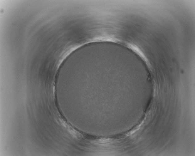 X0000066511268200603241257