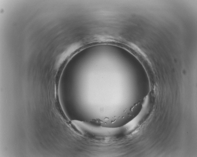 X0000066511269200603241257