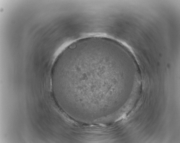 X0000066511271200603241257