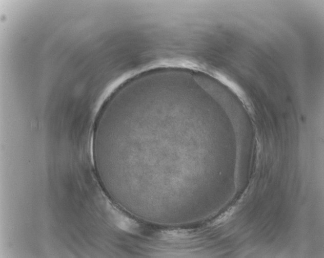 X0000066511272200603241257