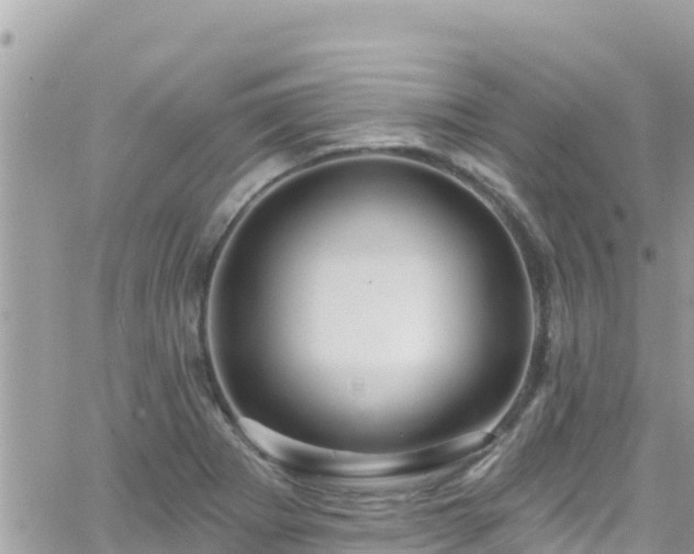 X0000066511273200603241257