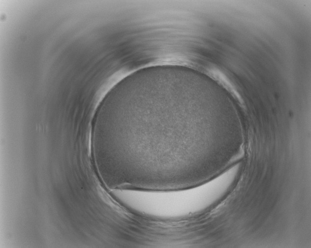 X0000066511276200603241257