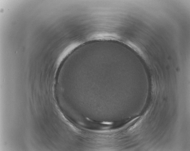 X0000066511277200603241257